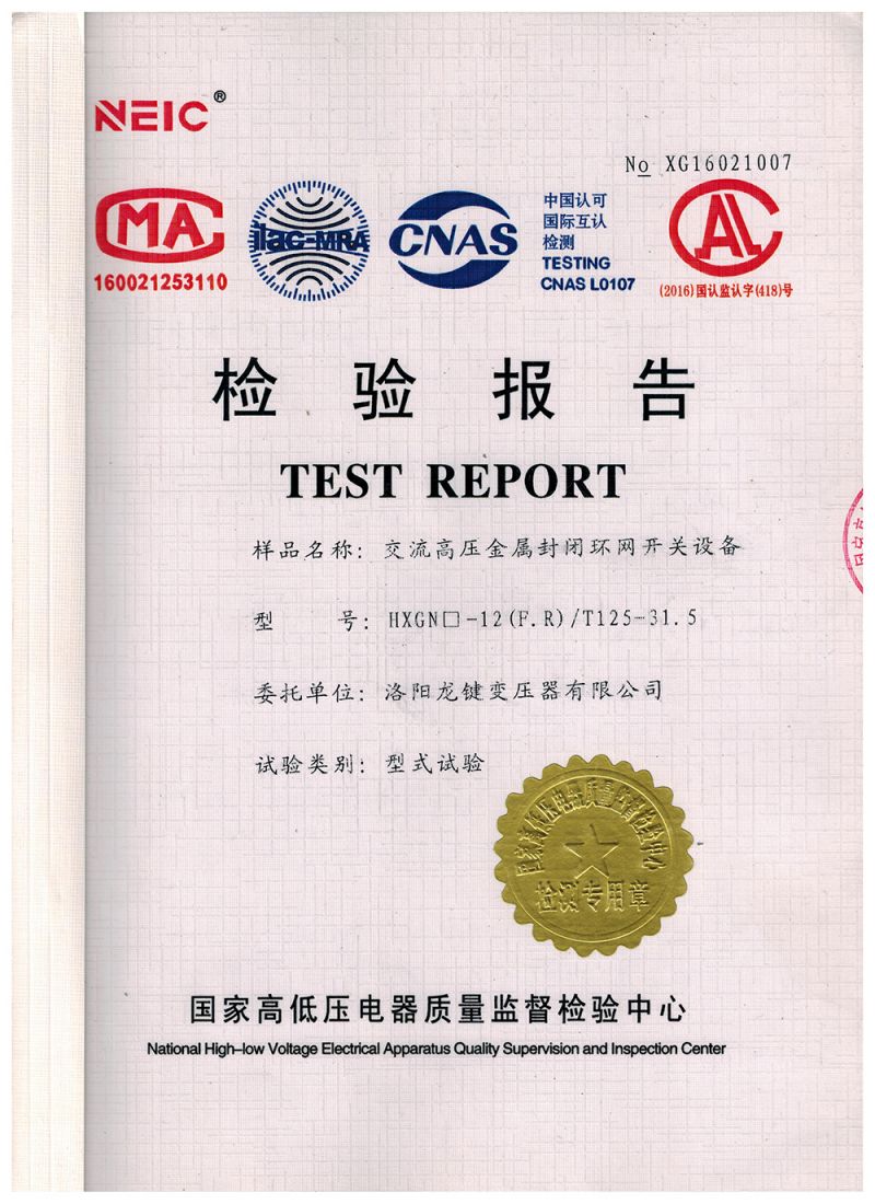HXGN-T125-31.5 High Voltage Ring Main Unit Inspection Report