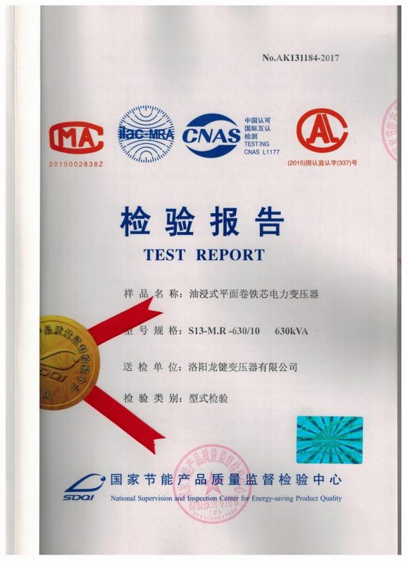 S13-630 Oil immersed Coil Core Power Transformer 10KV Inspection Report