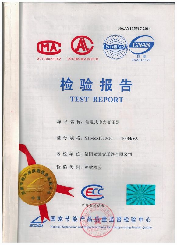 S11-1000 Oil immersed Power Transformer 10KV Inspection Report