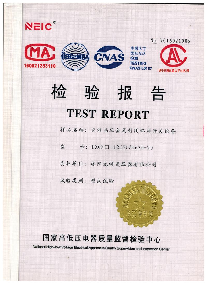 HXGN-T630-20 High Voltage Ring Main Unit Inspection Report
